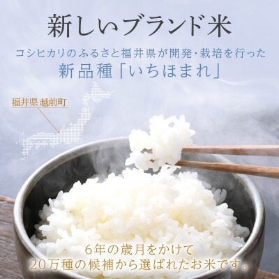 【先行予約】無洗米 いちほまれ 20kg 令和6年福井県産(精米)