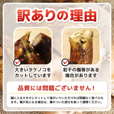 【先行受付】訳あり 赤土 たけのこ 4kg以上 ※大きな筍をカット※ 朝採れ産地直送!