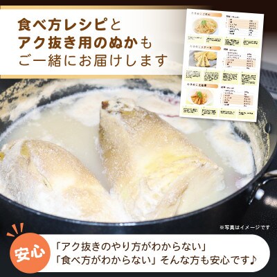 【先行受付】訳あり 赤土 たけのこ 4kg以上 ※大きな筍をカット※ 朝採れ産地直送!