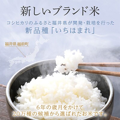 2023年9月発送開始『定期便』≪3か月連続お届け≫無洗米 いちほまれ 10kg 全3回