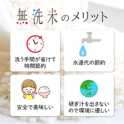 2023年2月発送開始『定期便』≪3か月連続お届け≫無洗米 いちほまれ 5kg 全3回