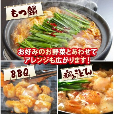 国産 牛ホルモン セット 計800g(上ホルモン・ミックスホルモン 各2袋) 旨みそダレ漬け!