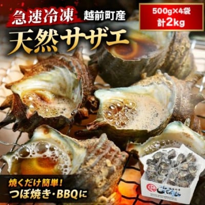 【越前海岸・美味直送シリーズ】急速冷凍サザエ　500g×4パック