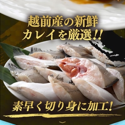 【越前海岸・美味直送シリーズ】肉厚!越前産カレイ切り身　1kg入