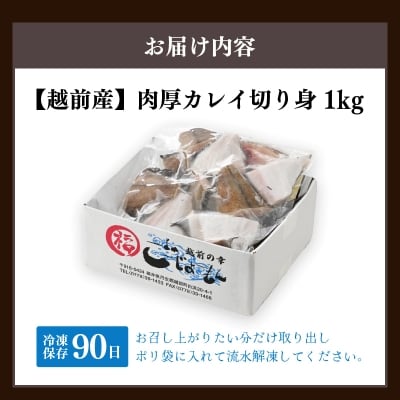 【越前海岸・美味直送シリーズ】肉厚!越前産カレイ切り身　1kg入