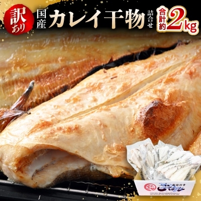 【越前海岸・美味直送シリーズ】　訳あり　越前町産 カレイ一夜干し 2kg