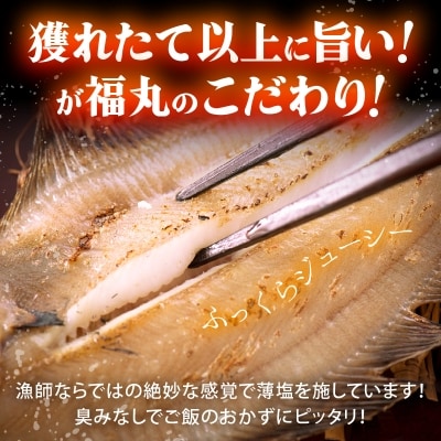 【越前海岸・美味直送シリーズ】　訳あり　越前町産 カレイ一夜干し 2kg