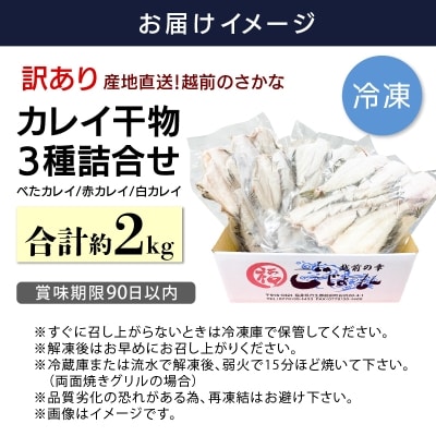【越前海岸・美味直送シリーズ】　訳あり　越前町産 カレイ一夜干し 2kg