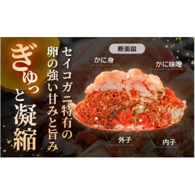 プレミアムサイズ!【食のドラマ 孤独のグルメ コラボ! 】セイコガニ 釜茹で 甲羅盛り 計約360g