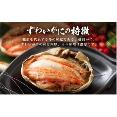 蟹の食べ比べ「ずわいがに × 6パック せいこがに × 9パック」甲羅盛り セット※のし無