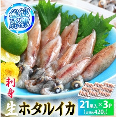 【越前海岸・美味直送シリーズ】ホタルイカ(刺身・しゃぶしゃぶ用) 約420g