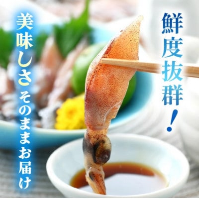 【越前海岸・美味直送シリーズ】ホタルイカ(刺身・しゃぶしゃぶ用) 約420g