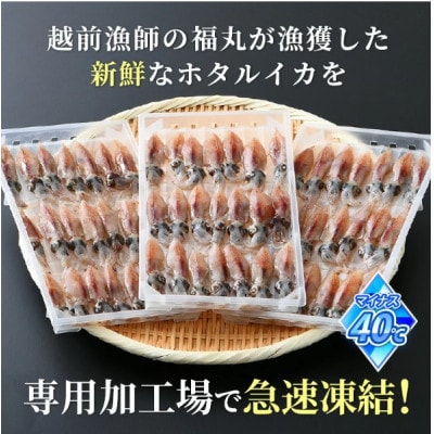 【越前海岸・美味直送シリーズ】ホタルイカ(刺身・しゃぶしゃぶ用) 約420g