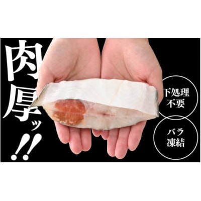 【のし付き】【越前海岸・美味直送シリーズ】肉厚!越前産カレイ切り身　計2kg(1kg × 2袋)