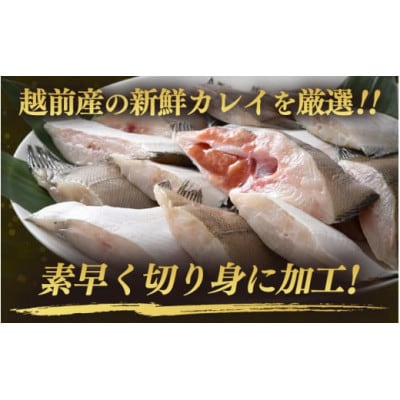 【のし付き】【越前海岸・美味直送シリーズ】肉厚!越前産カレイ切り身　計3kg(1kg × 3袋)