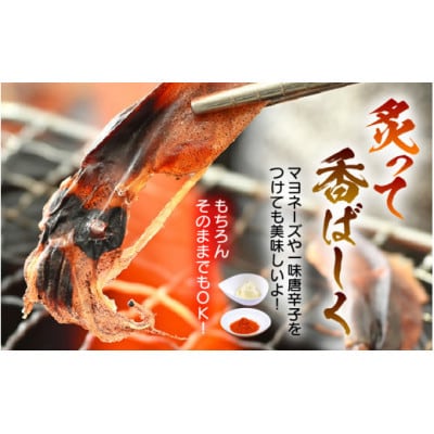 【のし付き】越前海岸・美味直送シリーズ】ホタルイカ素干し　50g×3パック