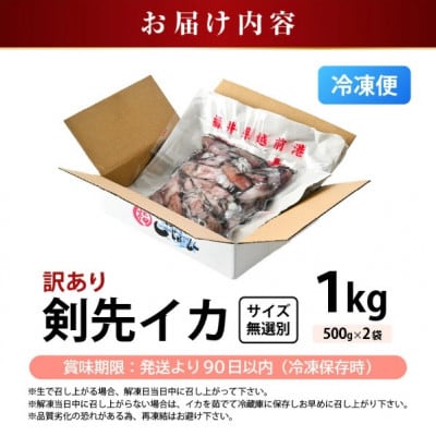 【急速冷凍】【訳あり】生いか 天然ケンサキイカ サイズ無選別 1kg(500g × 2袋)