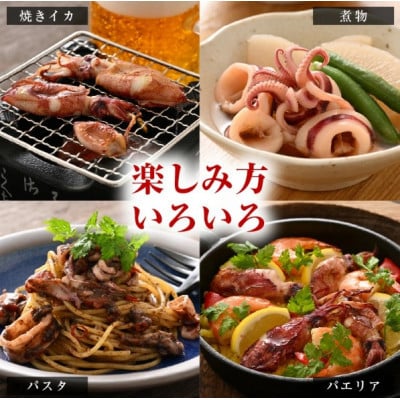 【のし付】【急速冷凍】【訳あり】生いか 天然ケンサキイカ サイズ無選別 500g