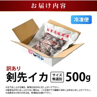 【のし付】【急速冷凍】【訳あり】生いか 天然ケンサキイカ サイズ無選別 500g