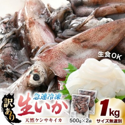 【のし付】【急速冷凍】【訳あり】生いか 天然ケンサキイカ サイズ無選別 1kg(500g × 2袋)