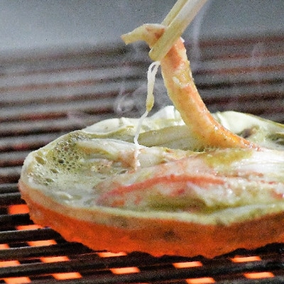 【のし付】【越前海岸・美味直送シリーズ】越前がに・ズワイ甲羅盛り2個セット