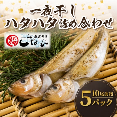 【のし付】【越前海岸・美味直送シリーズ】一夜干しハタハタ詰合わせ　1kg(200g入×5パック)