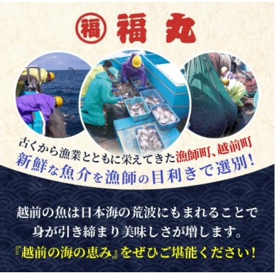 【のし付】【越前海岸・美味直送シリーズ】一夜干しハタハタ詰合わせ(7～9尾入り5パック)