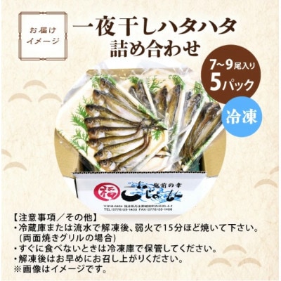 【のし付】【越前海岸・美味直送シリーズ】一夜干しハタハタ詰合わせ(7～9尾入り5パック)