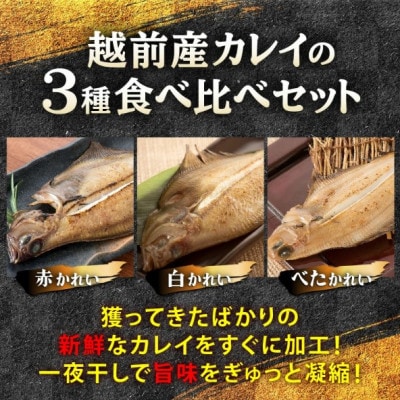 【のし付】越前産 かれい 「一夜干しカレイ3種セット(合計6～9尾)」