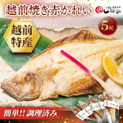 【のし付】【温めだけ】焼き調理済み 国産 越前赤かれい 5尾 干物 焼きカレイ