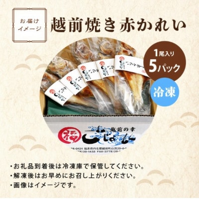 【のし付】【温めだけ】焼き調理済み 国産 越前赤かれい 5尾 干物 焼きカレイ
