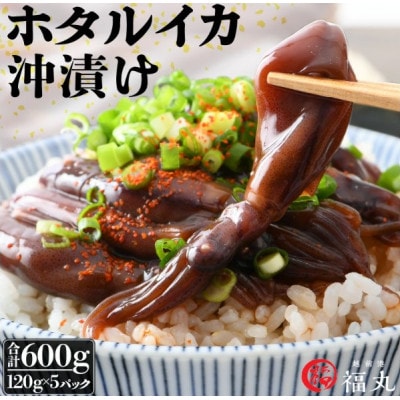 【のし付】ホタルイカ沖漬け　120g×5パック