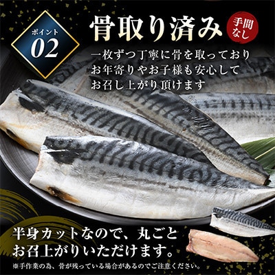 【のし付】鯖の一夜干し 約1kg(半身7切)網元漁師「福丸」厳選干物!