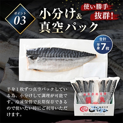 【のし付】鯖の一夜干し 約1kg(半身7切)網元漁師「福丸」厳選干物!