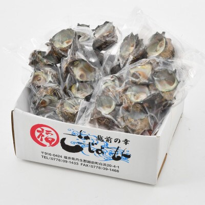 【越前海岸・美味直送シリーズ】急速冷凍サザエ　500g×2パック