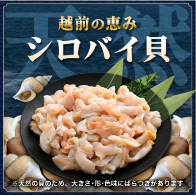 【先行予約】越前町産 天然 シロバイ貝むき身(加熱用・下処理済み)150g×3袋(計450g)