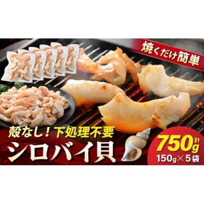 【先行予約】越前町産 天然 シロバイ貝むき身(加熱用・下処理済み)150g×5袋(計750g)