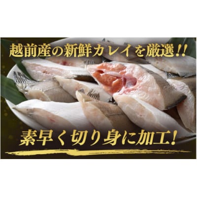 【毎月定期便】【越前海岸・美味直送シリーズ】肉厚!越前産カレイ切り身　1kg入全6回
