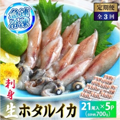【毎月定期便】ホタルイカ(刺身・しゃぶしゃぶ用)　21尾入 × 5パック 合計約700g全3回