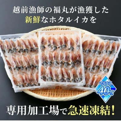 【毎月定期便】ホタルイカ(刺身・しゃぶしゃぶ用)　21尾入 × 5パック 合計約700g全6回