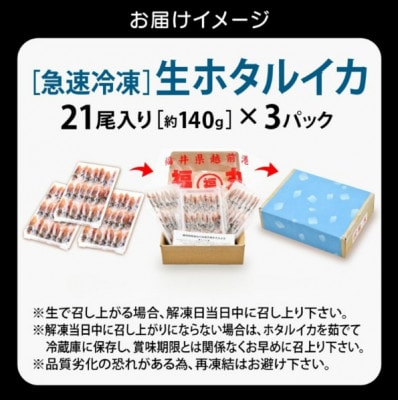 【毎月定期便】ホタルイカ(刺身・しゃぶしゃぶ用)　21尾入 × 3パック 合計約420g全6回
