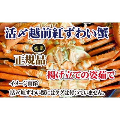 旨味満載!活〆越前紅ずわい蟹【12月・1月送付】