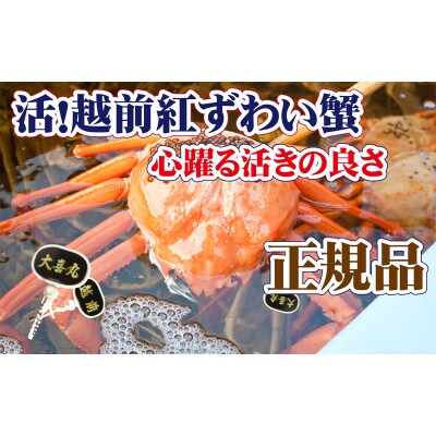 旨味満点!活越前紅ずわい蟹【2月・3月送付】