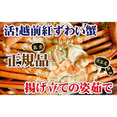 旨味満点!活越前紅ずわい蟹【2月・3月送付】