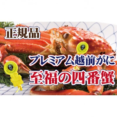 四番蟹 至福のプレミアム越前がに × 1杯 ≪浜茹で≫【11月発送分】