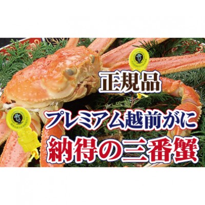 三番蟹　納得のプレミアム越前がに × 1杯 ≪浜茹で≫【11月発送分】