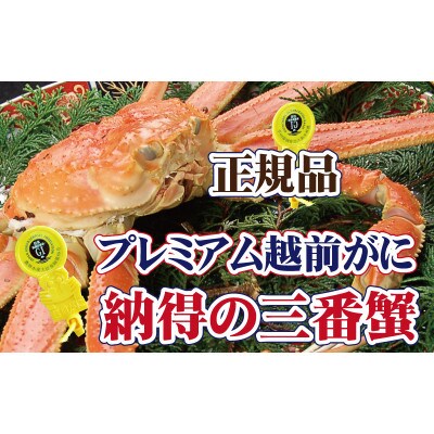 三番蟹　納得のプレミアム越前がに × 1杯 ≪浜茹で≫【12・1月発送分】
