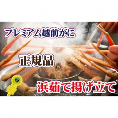 桐箱入り!四番蟹　至福のプレミアム越前がに × 1杯 ≪浜茹で≫【11月発送分】