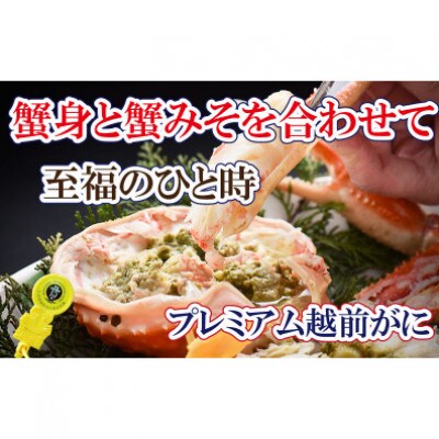 桐箱入り!三番蟹　納得のプレミアム越前がに × 1杯 ≪浜茹で≫【11月発送分】