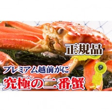 二番蟹 上質のプレミアム越前がに 1杯 ≪浜茹で≫【12・1月発送分】